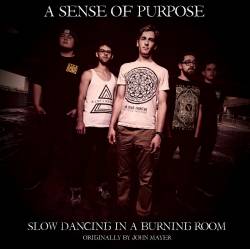 A Sense Of Purpose : Slow Dancing in a Burning Room